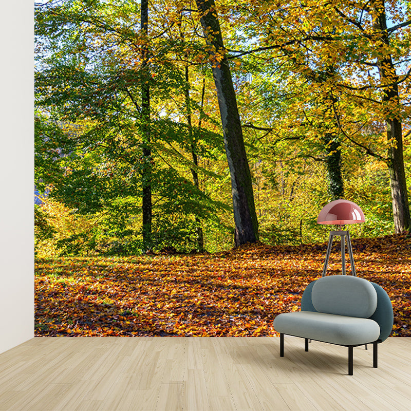Room Wall Mural Modern Forest Decorative Eco-friendly Wall Covering