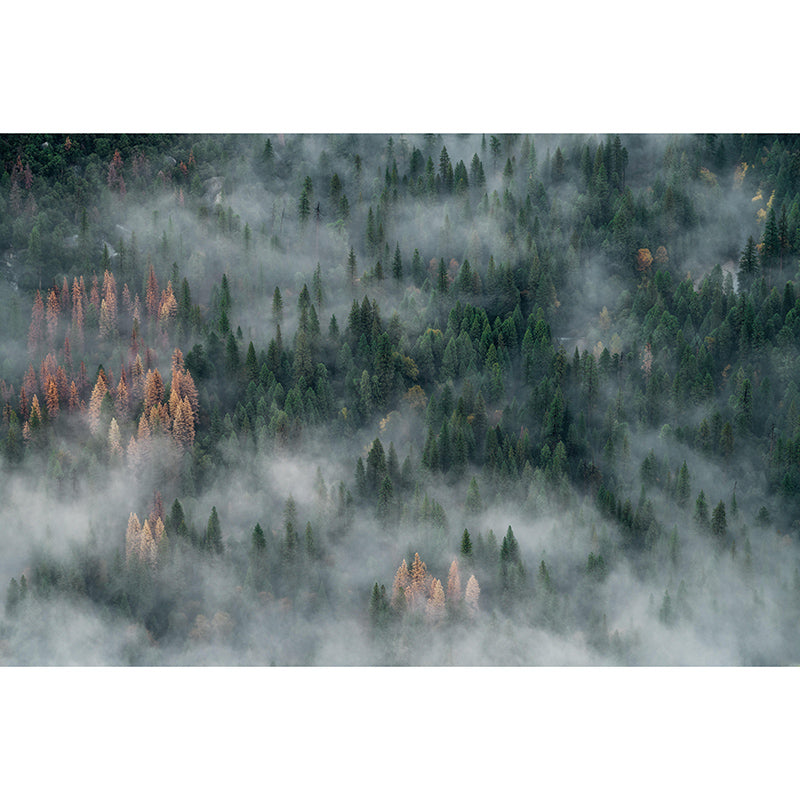 Room Wall Mural Modern Forest Decorative Eco-friendly Wall Covering