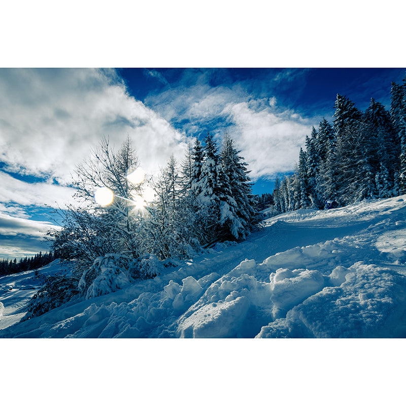 Living Room Wall Mural Modern Forest Decorative Eco-friendly Wall Covering