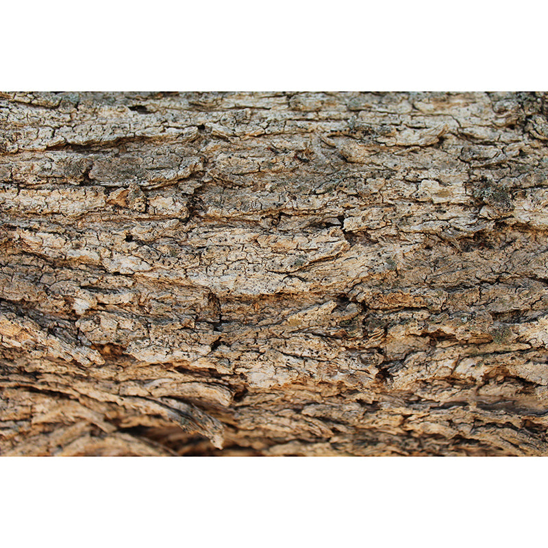 Room Wall Mural Industrial Wood Texture Decorative Eco-friendly Wall Covering