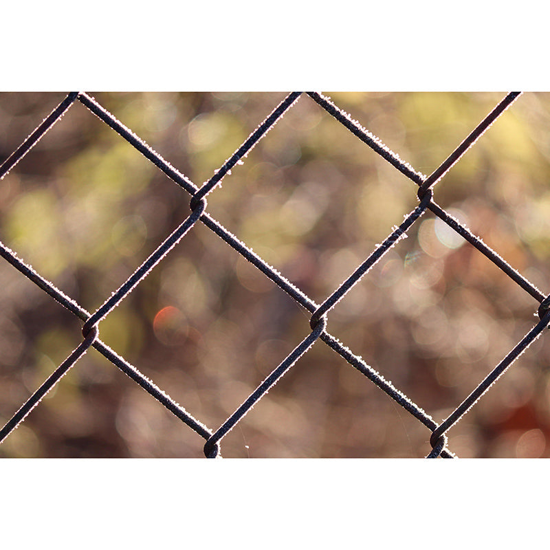 Mildew Resistant Industrial Metal Mural Decorative Eco-friendly Wall Art