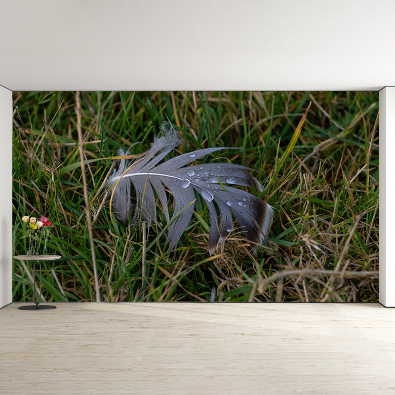 Modern Bird Feather Mural Wallpaper Mildew Resistant Wall Decor