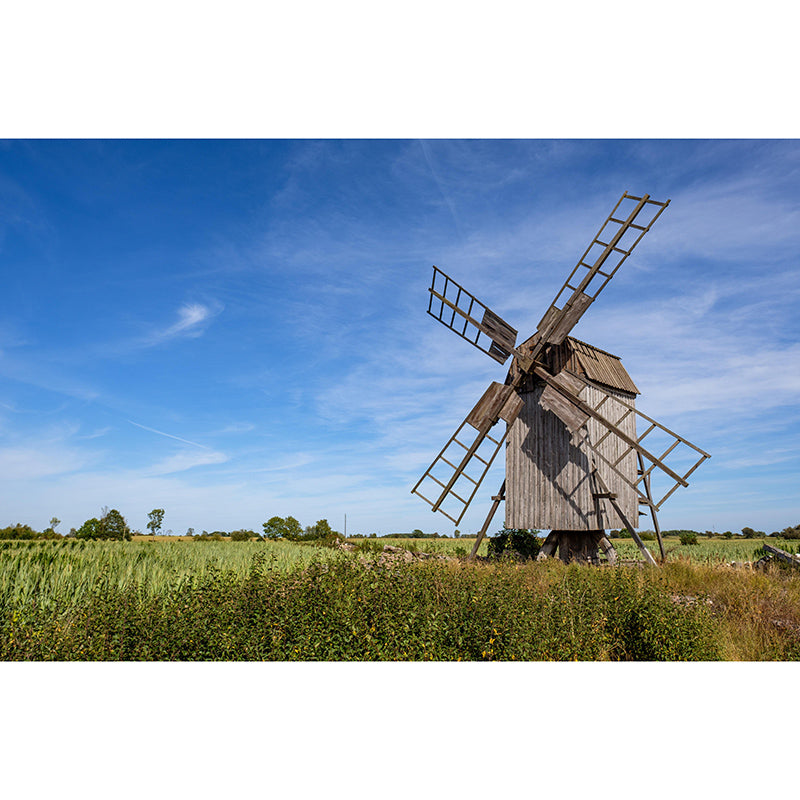 Bright Color Mural Wallpaper Small Town Windmill Mildew Resistant Wall Decor