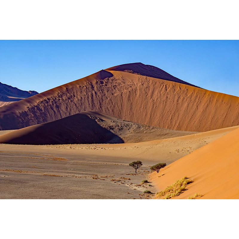 Sitting Room Wall Mural Wallpaper Modern Desert Mildew Resistant Wall Decor