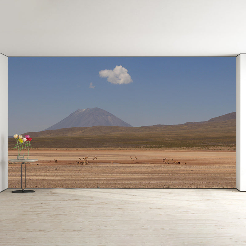 Room Mural Wallpaper Modern Desert Mildew Resistant Wall Decor
