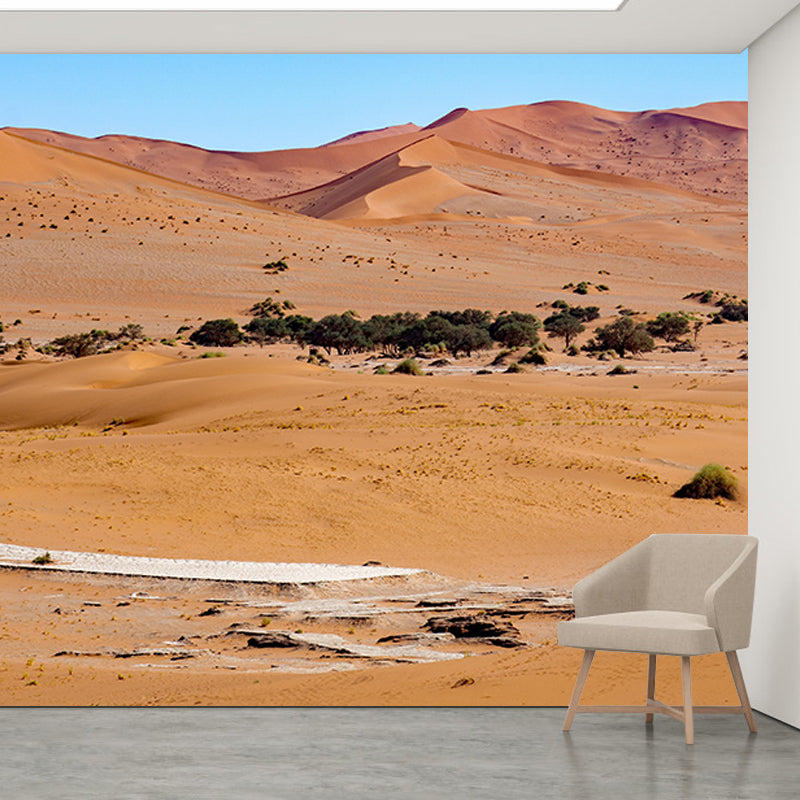 Modern Style Desert Mural Wallpaper Mildew Resistant Wall Decor