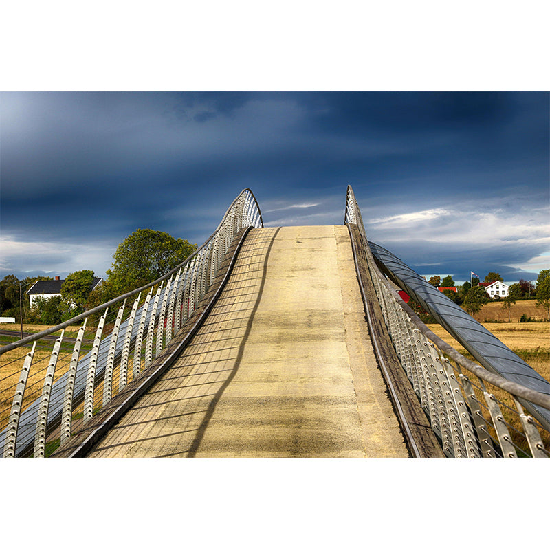 Bridge Mural Horizontal Photography Environment Friendly for Bedroom