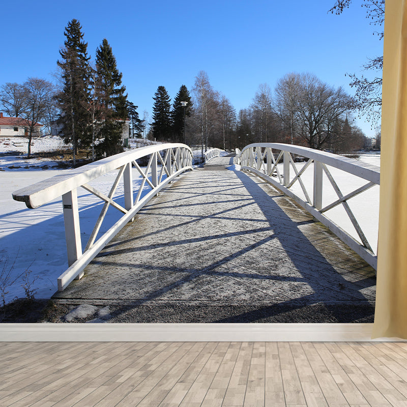 Photography Space Extension Decorative Mural Environment Friendly for Room