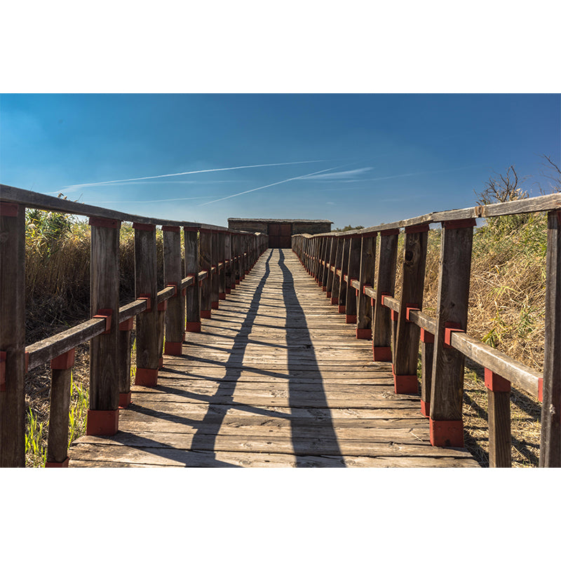 Eco-friendly Space Extension Mural Horizontal Photography for Room