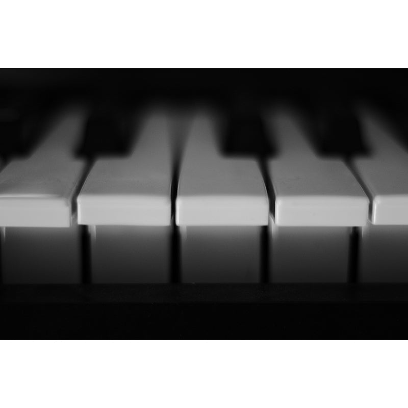 Eco-friendly Piano Mural Decorative Horizontal Photography for Bedroom