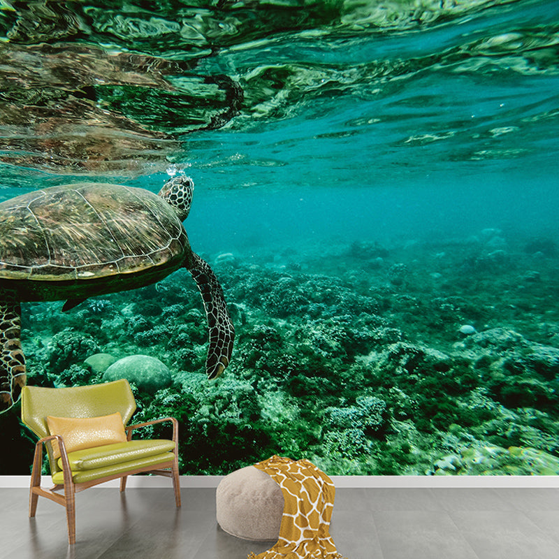 Undersea Photography Mural Decorative Eco-friendly for Decoration