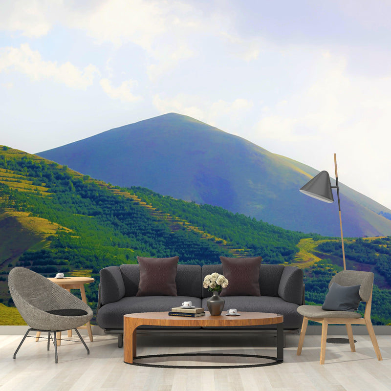 Photography Environment Friendly Mural Wallpaper Mountain Room Wall Mural