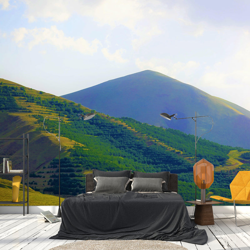 Photography Environment Friendly Mural Wallpaper Mountain Room Wall Mural