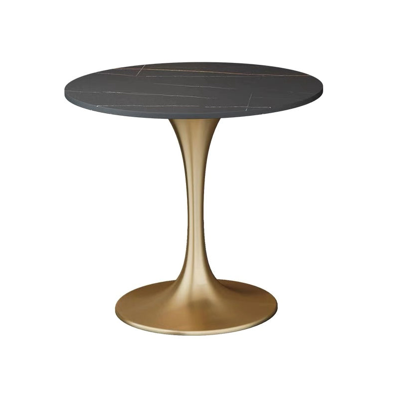 Modern 1/2/5 Pieces Sintered Stone Dining Set Dining Furniture Set /Separate Items