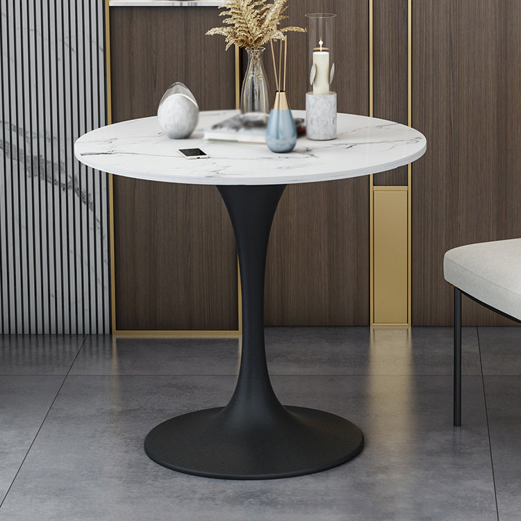 Modern 1/2/5 Pieces Sintered Stone Dining Set Dining Furniture Set /Separate Items