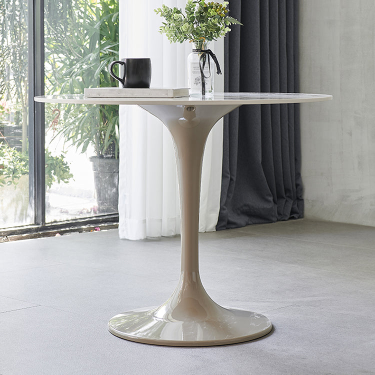 Modern 1/3/4/5 Pieces Sintered Stone Dining Set Dining Furniture Set /Separate Items