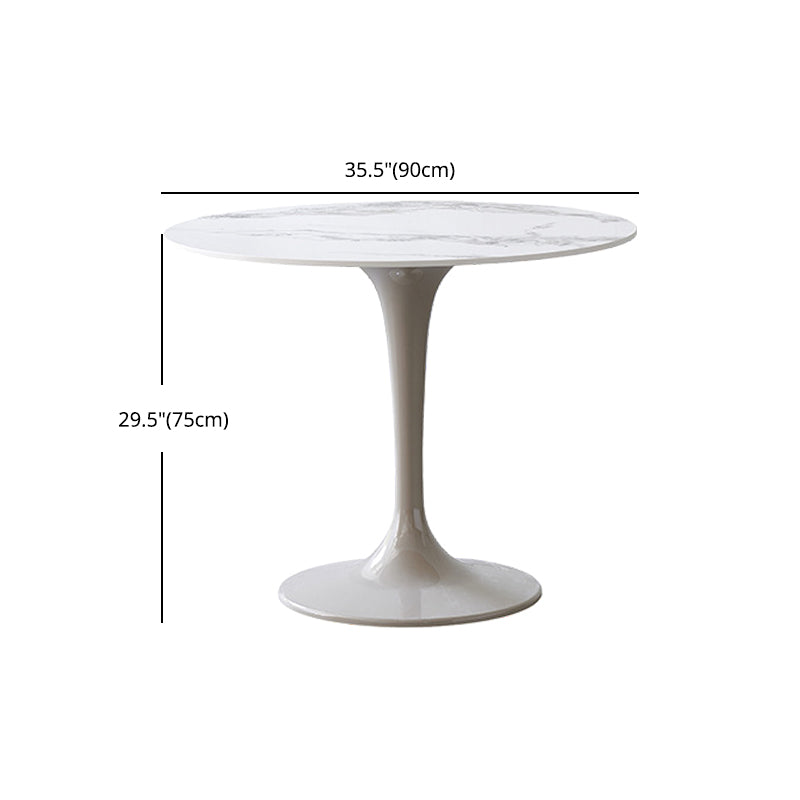 Modern 1/3/4/5 Pieces Sintered Stone Dining Set Dining Furniture Set /Separate Items