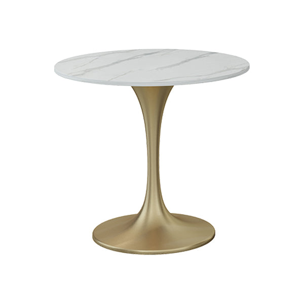 Glam 1/2/3/4/5 Pieces Sintered Stone Dining Set Dining Furniture Set /Separate Items