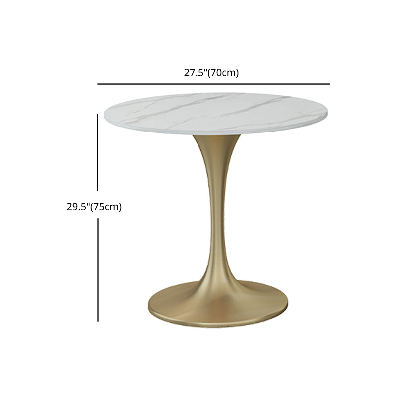 Glam 1/2/3/4/5 Pieces Sintered Stone Dining Set Dining Furniture Set /Separate Items