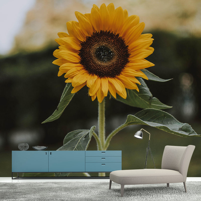 Environment Friendly Decorative Murals Flower Sitting Room Wall Murals