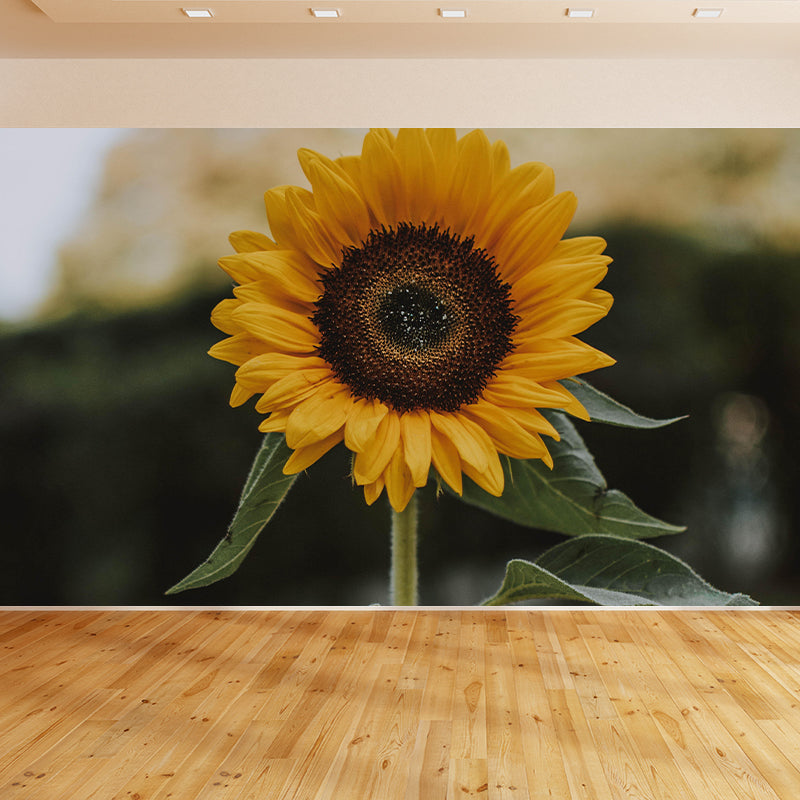 Environment Friendly Decorative Murals Flower Sitting Room Wall Murals