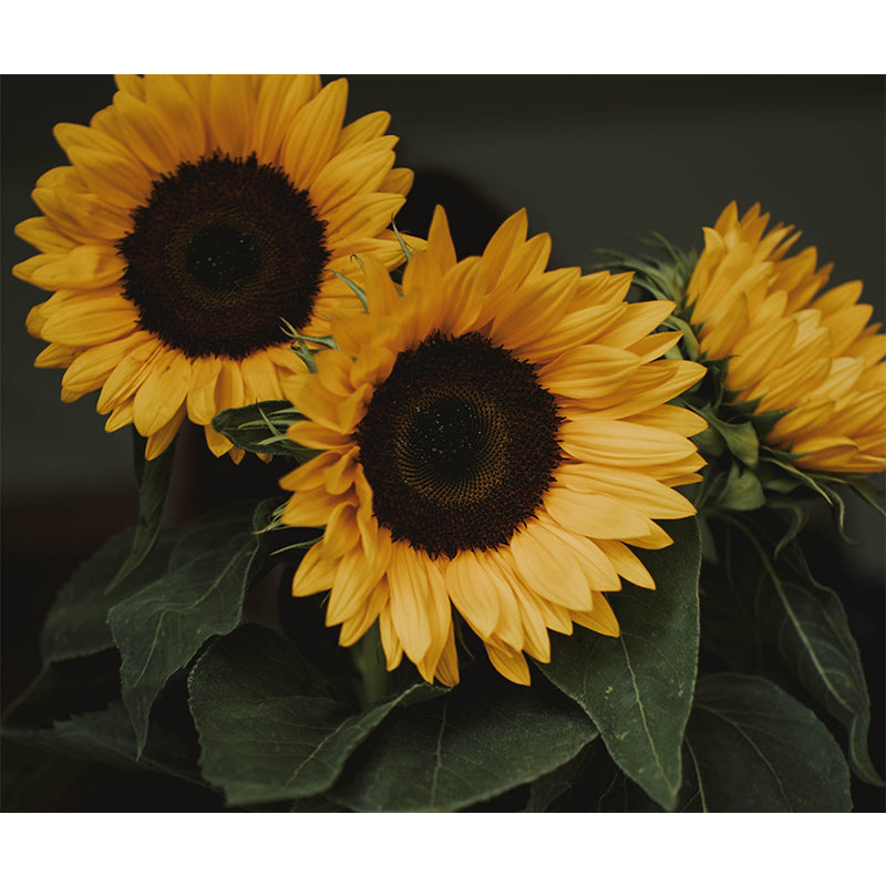 Environment Friendly Flower Murals Living Room Wall Murals Wallpaper