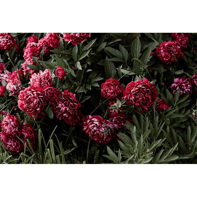 Mildew Resistant Decorative Murals Flower Bedroom Wall Murals Wallpaper