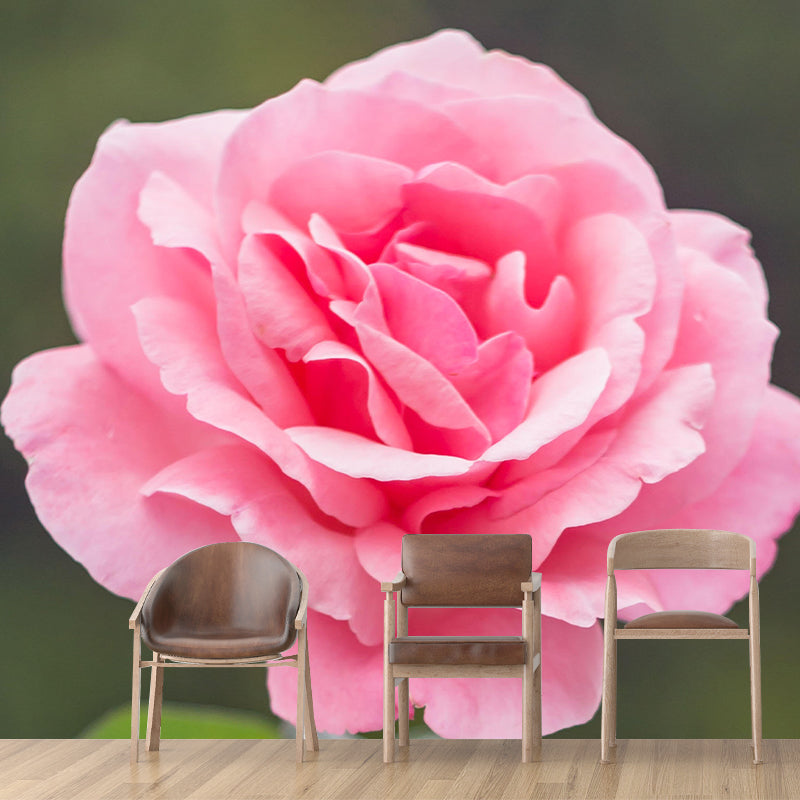 Environment Friendly Decorative Murals Flower Bedroom Wall Murals