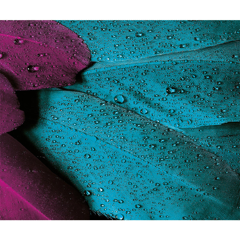 Environment Friendly Decorative Murals Feather Sleeping Room Wall Murals Wallpaper