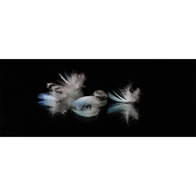 Beautiful Bird Feather Murals Living Room Wall Murals Wallpaper