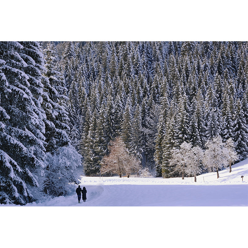 Environment Friendly Decorative Murals Forest Wall Murals for Home