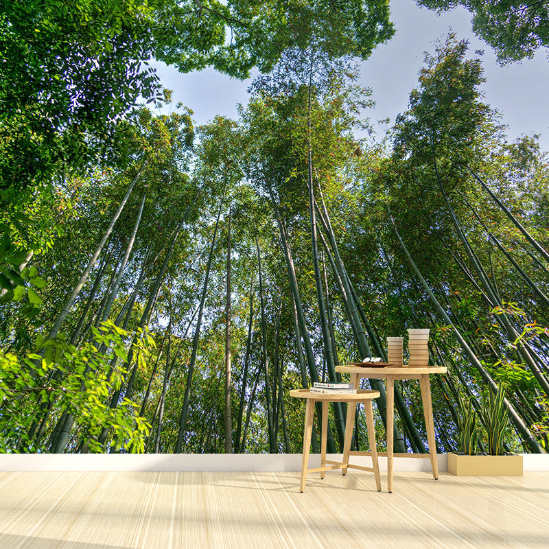 Environment Friendly Decorative Murals Forest Wall Murals for Home