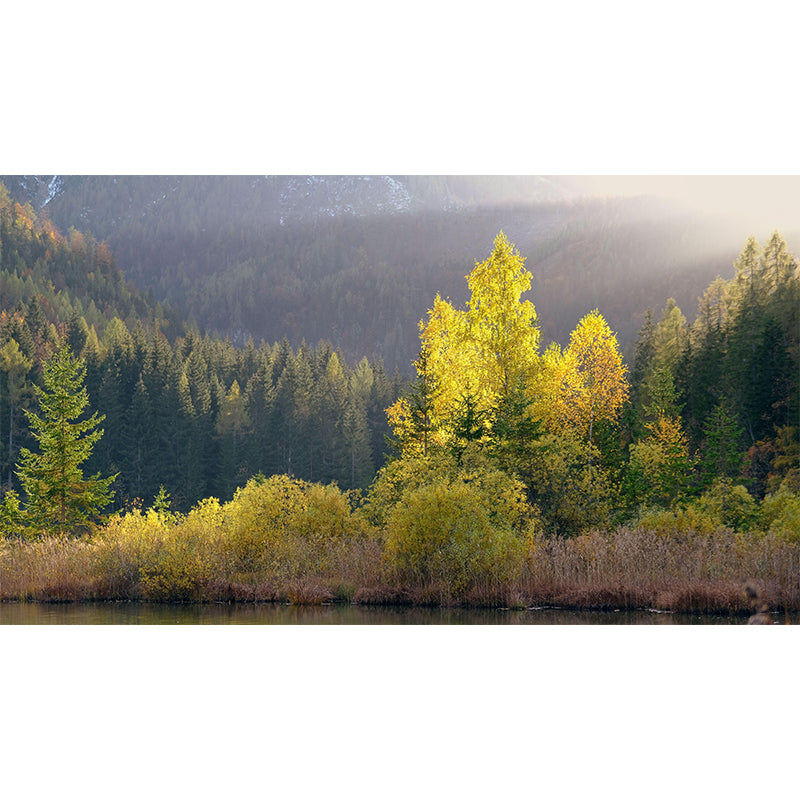 Environment Friendly Forest Murals Sleeping Room Wall Murals