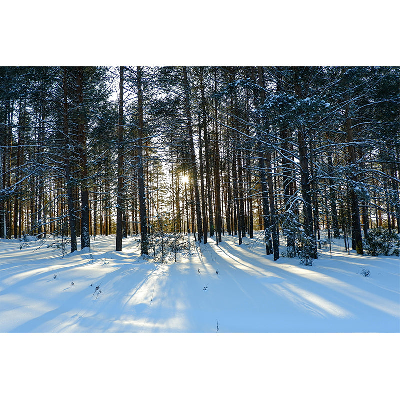 Environment Friendly Decorative Murals Forest Sitting Room Wall Murals Wallpaper