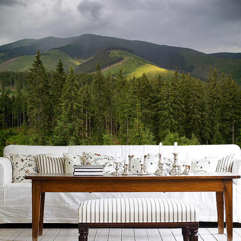 Contemporary Decorative Murals Forest Sitting Room Wall Murals