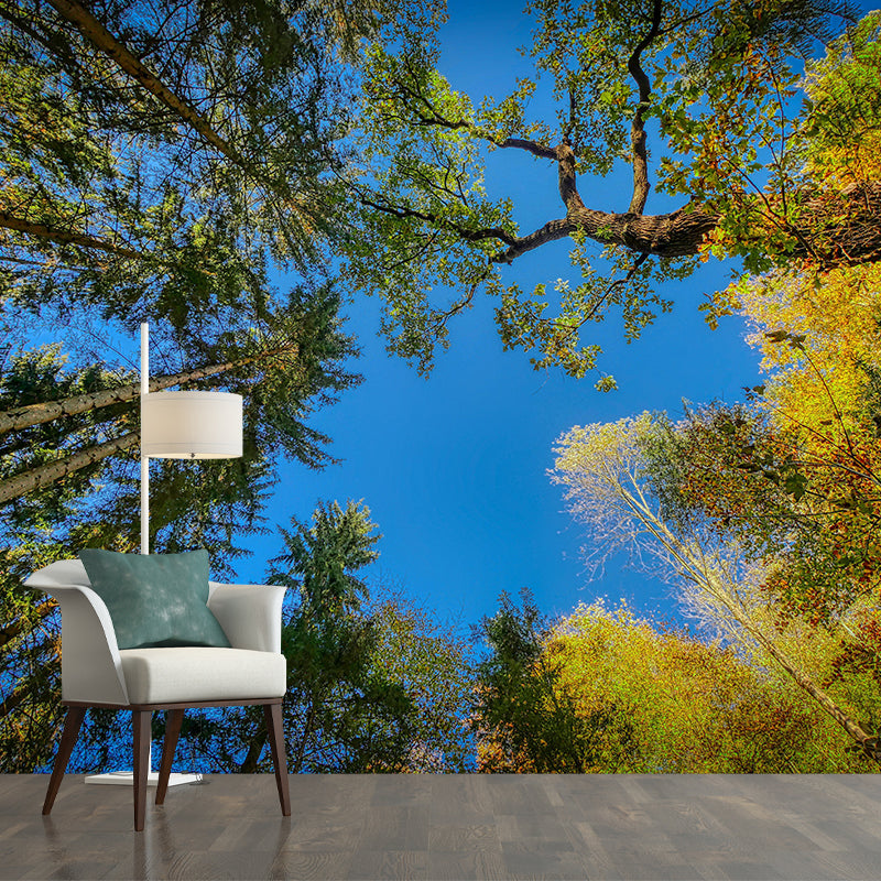 Modern Forest Decorative Murals Bedroom Wall Murals Wallpaper