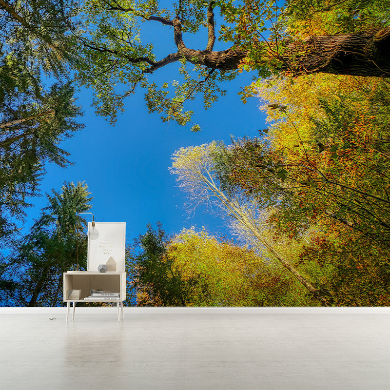 Modern Forest Decorative Murals Bedroom Wall Murals Wallpaper