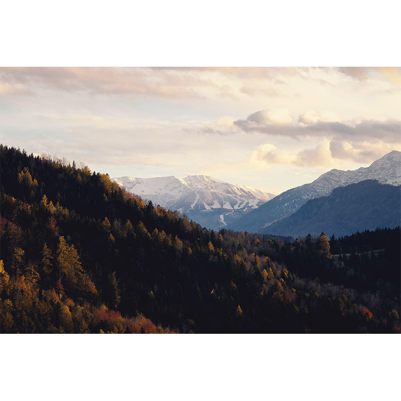 Dining Room Customized Decorative Murals Forest Wall Murals Wallpaper