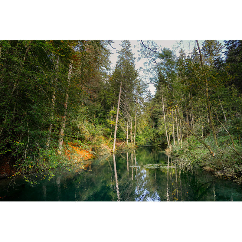 Forest Environment Friendly Decorative Murals Room Wall Murals