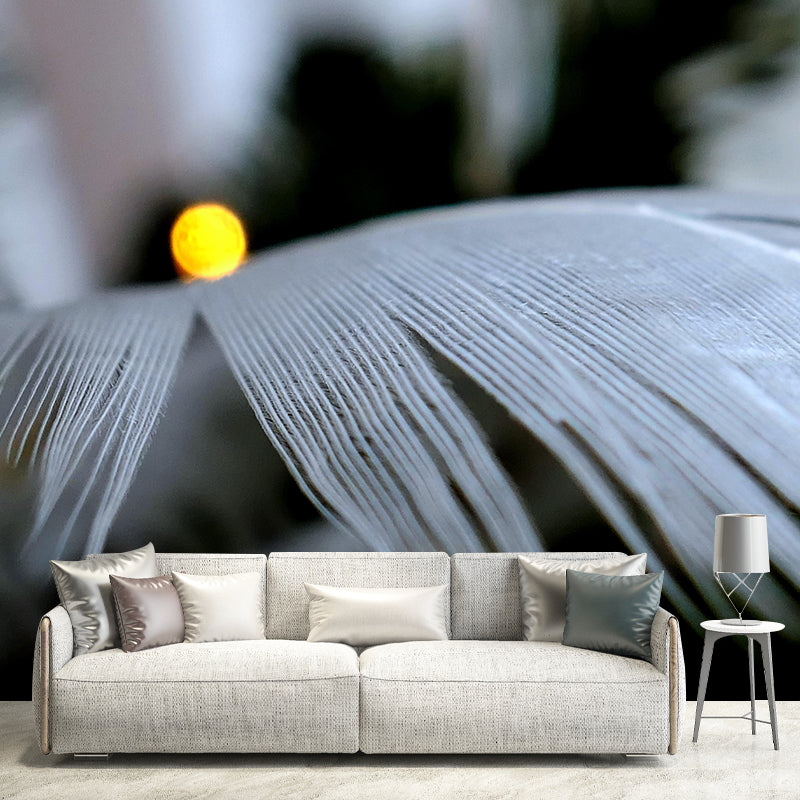 Beautiful Bird Feather Mural Eco-friendly Decorative Wallpaper Wall Art