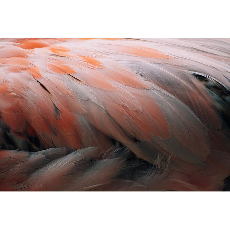 Beautiful Bird Feather Mural Eco-friendly Decorative Wallpaper Wall Art