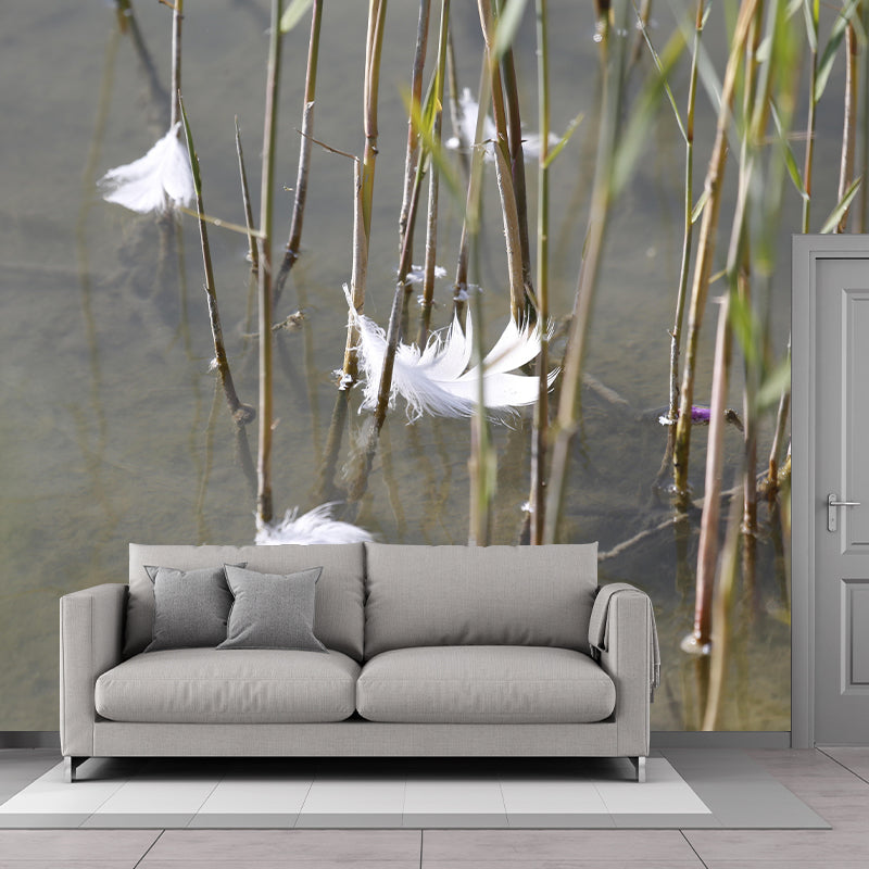 Photography Bird Feather Mural Eco-friendly Decorative Wallpaper Wall Decor