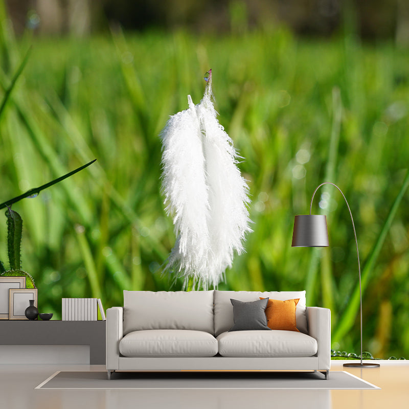 Eco-friendly Photography Feather Mural Decorative Wallpaper Wall Decor