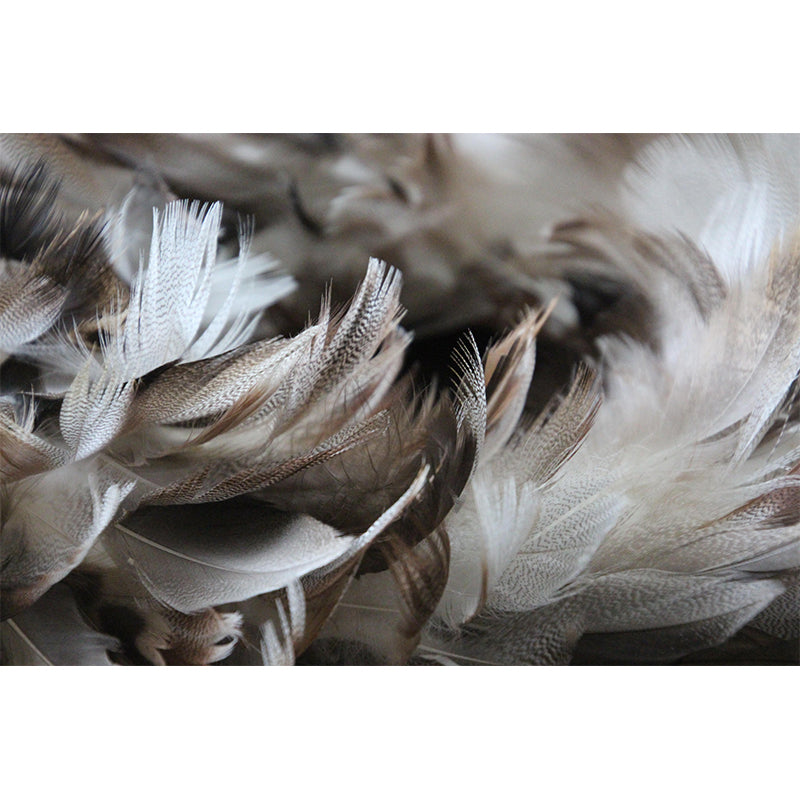 Eco-friendly Photography Feather Mural Decorative Wallpaper Wall Decor