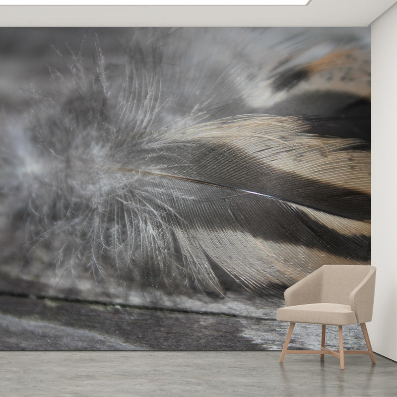 Eco-friendly Photography Feather Mural Decorative Wallpaper Wall Decor