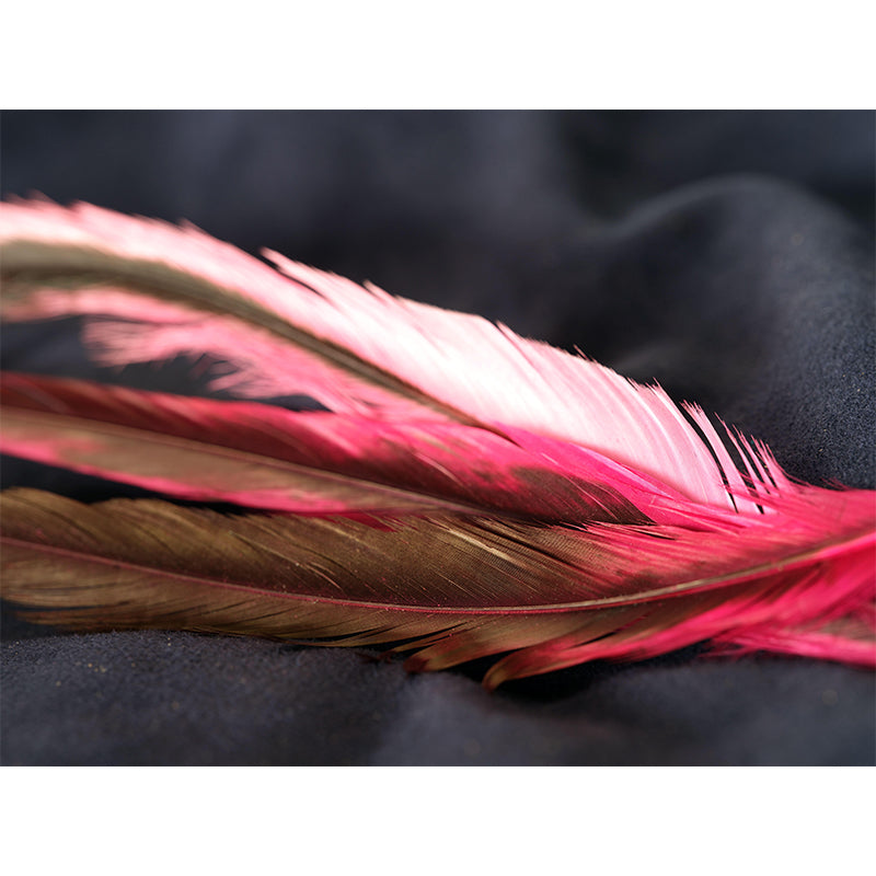 Customized Photography Feather Mural Eco-friendly Decorative Wallpaper for Room