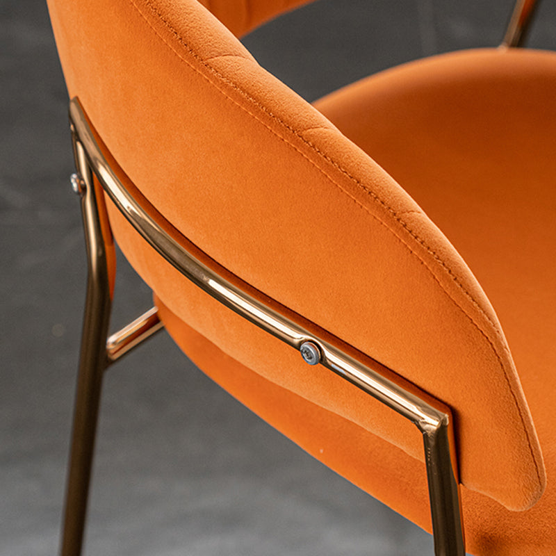 Scandinave Style Open Back Dining Catt Widing Couber Chaises de salle à manger avec des jambes dorées