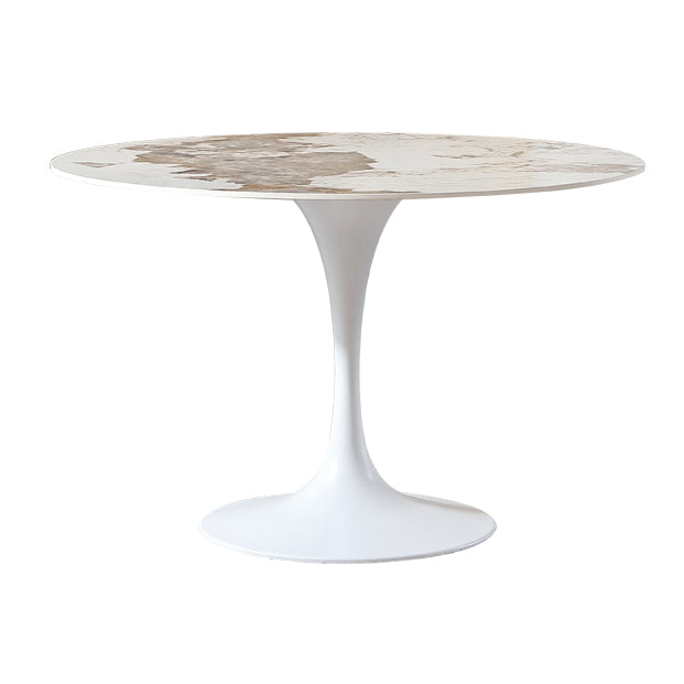 Ronde tulp Base Dinette Table Simplicity Style Dining Site Table voor binnen