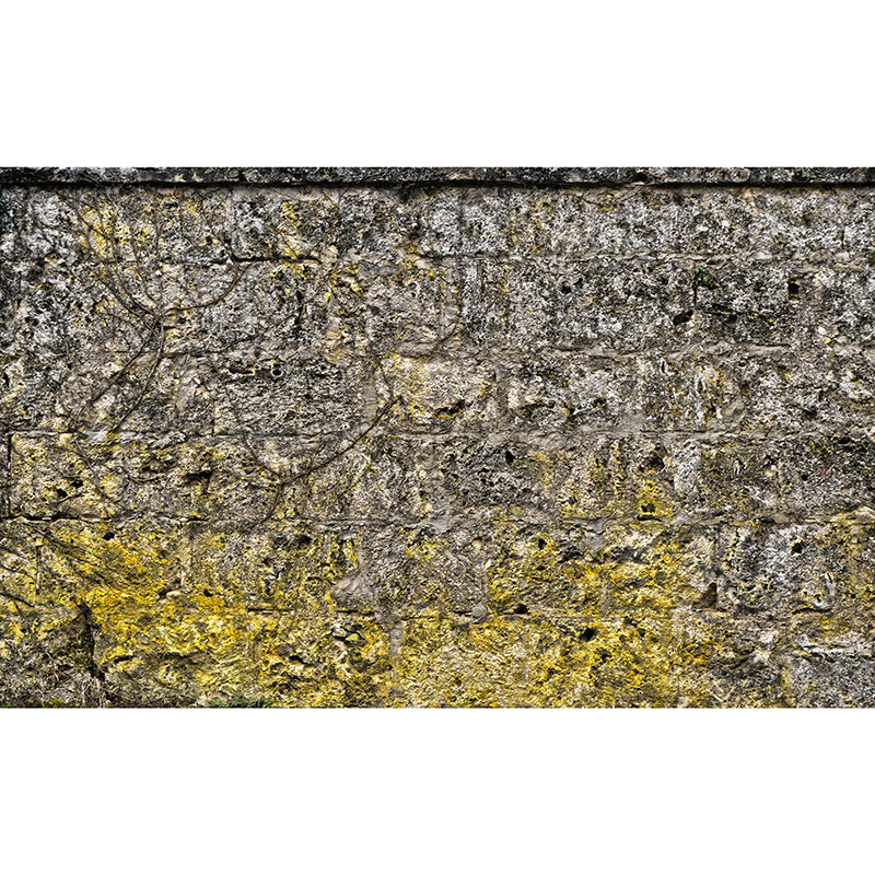 Stain Resistant Industrial Stone Wall Mural Wallpaper Decorative Wall Covering