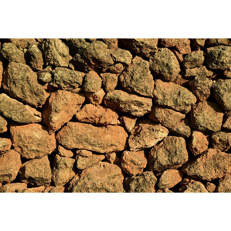 Vivid Industrial Stone Wall Mural Mildew Resistant Decorative Wall Art